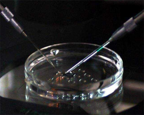 2026年江苏失独家庭补助多少？最新政策是什么？