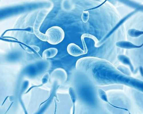 移植两个胚胎成功率,试管移植一个胚胎和两个胚胎成功率