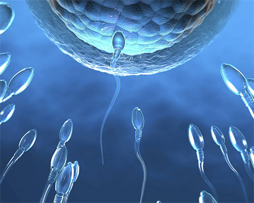 子宫糜烂子宫糜烂