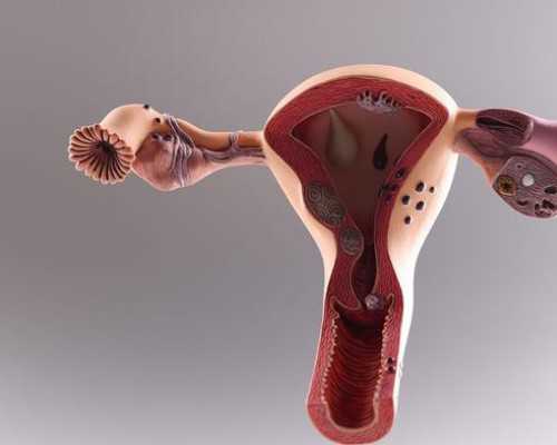 都是子宫内膜，为什么只能做试管婴儿代生？