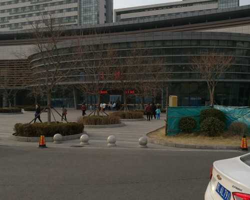 轻松怀孕的秘诀：推荐这些助孕美食