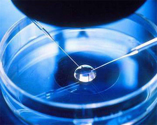 2026国内供卵公立医院卵源很难等吗？附供卵试管医院选择攻略