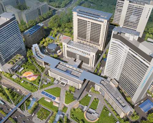 中阳试管婴儿选性别，让代生顺其自然？