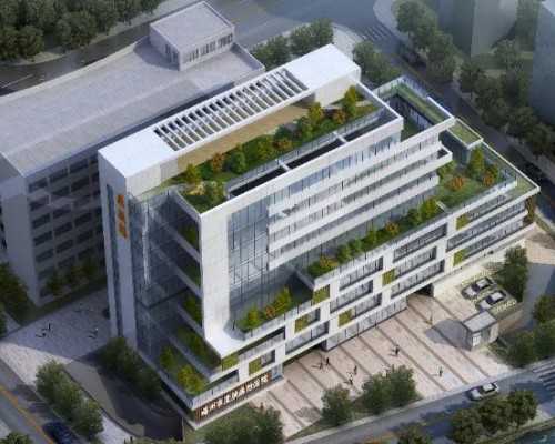 破解子宫肌瘤之谜：五大特点让你看清疾病的真相