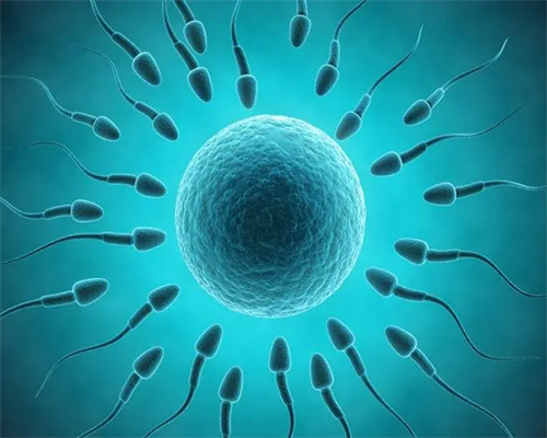 停止尿促后卵泡会萎缩么