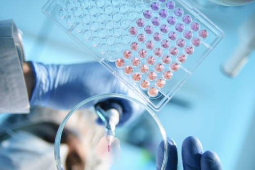 卵泡破裂后能做试管吗女性代生几率有多高