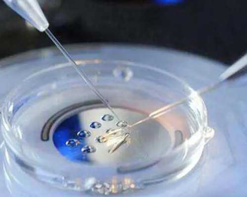 国内代怀机构_3代试管双胞胎男宝,宝宝起病毒疹怎么办