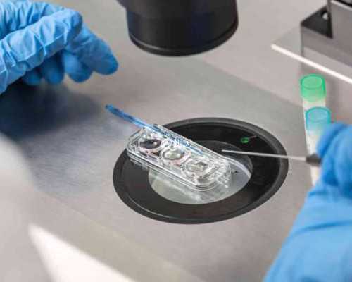 重庆代怀地址_代孕公司排行榜,代怀孕十一周注意事项，孕妇健康指南