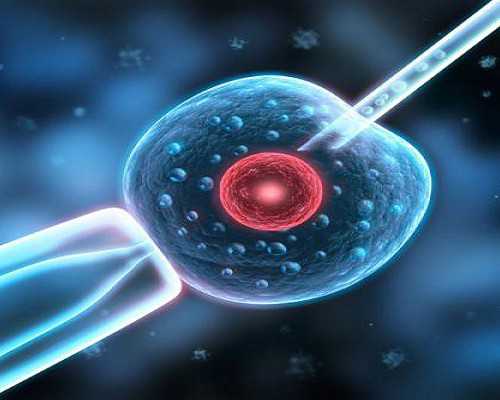 漳州试管婴儿机构：高龄备孕做第三代试管，昆明供卵不用等的医院有哪些？