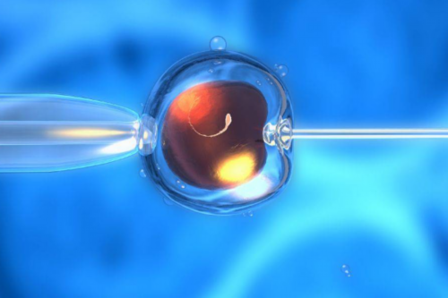 使用辅助孵化技术之后胚胎需要多久着床？