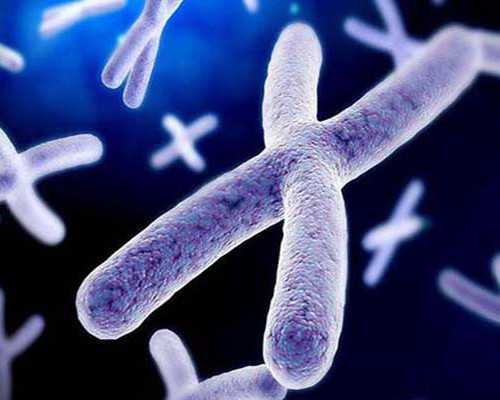 胎停2次后单身做试管，应该如何进行保胎？