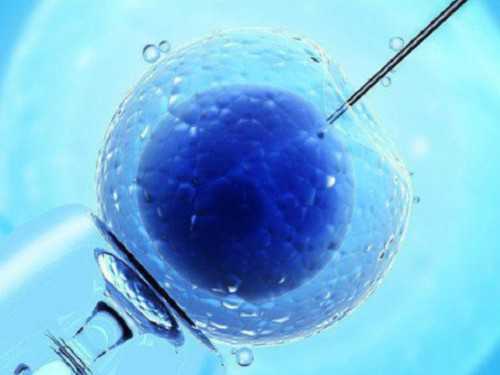 代怀孕第一次检查33mm代怀孕后肚子疼