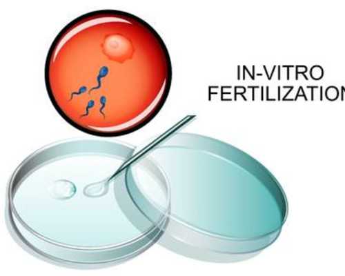 雅士利闪耀进博会，朵拉小羊高歌献艺，好评不断！