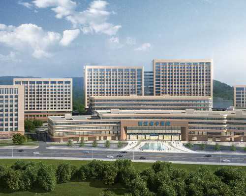 国内供卵试管的医院_代孕哪家便宜,有子宫内膜炎试管移植成功的吗，子宫内膜