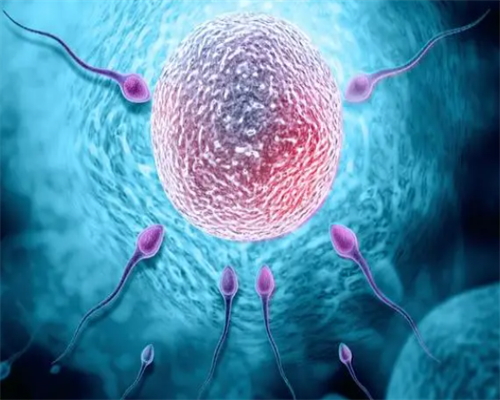 男的年纪大对做试管婴儿代生率影响大吗？