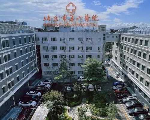 46岁做供卵移植4bb成功率高吗为什么